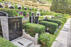 墓区环境