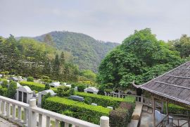 墓区环境