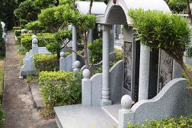 墓区环境